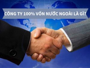 100% công ty vốn nước ngoài là gì?